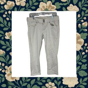 American Eagle Straight Artist Crop Size 10 EUC